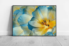 Load image into Gallery viewer, Yellow Blue Tulip Floral Macro Art Print Framed Wall Decor - Print Store