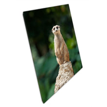Load image into Gallery viewer, Alert Meerkat on Rock Nature Photography Canvas Print for Home or Office Décor - Print Store
