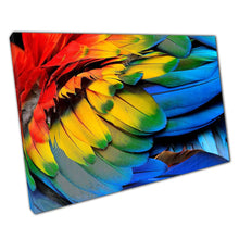 Load image into Gallery viewer, Vibrant Scarlet Macaw Canvas Print: Exotic Bird Wall Art for Home & Office Decor - Print Store