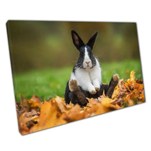 Load image into Gallery viewer, Autumn Bunny Rabbit Wall Art Print on Canvas Relaxing in Crunchy Leaves Decor - Print Store