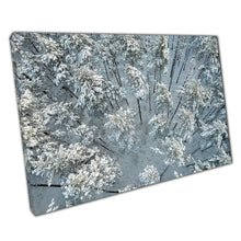 Load image into Gallery viewer, Aerial Winter Landscape: Frosted Pine & Birch Forest Canvas Wall Art for Modern Home Decor - Print Store