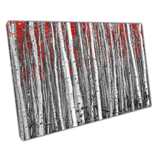 Load image into Gallery viewer, Birch Forest Canvas: Black & White Abstract with Red Leaves - Modern Wall Art for Home Office - Print Store