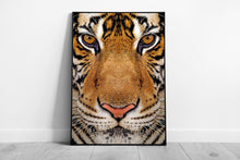 Load image into Gallery viewer, Wild Tiger Close-Up Print Striped Fur Coat Wall Art Framed Wildlife Photography - Print Store