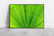 Load image into Gallery viewer, Vivid Green Palm Leaf Photography Wall Art Print Extreme Abstract Close-Up Framed Picture - Print Store