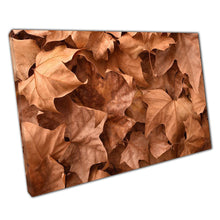 Load image into Gallery viewer, Autumnal Leaves Canvas Wall Art Print Forest Floor Photography Decor for Home Office - Print Store