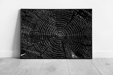 Load image into Gallery viewer, Wood Grain Tree Trunk Cross-Section Wall Art Print Abstract Monochrome Photography Framed Decor - Print Store