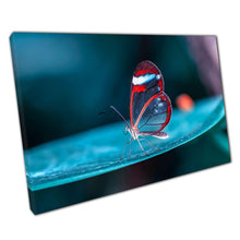 Load image into Gallery viewer, Butterfly on Leaf Macro Photography Canvas Wall Art for Home Office Decor - Print Store