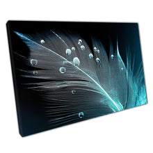 Load image into Gallery viewer, Bird Feather Photography Canvas Wall Art Print with Water Droplets for Home Office Decor - Print Store