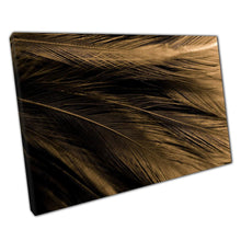 Load image into Gallery viewer, Abstract Nature Photography Canvas Print Luxurious Brown White Gold Feathers Wall Art for Home or Office Decor - Print Store