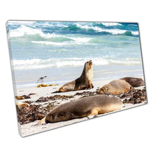 Load image into Gallery viewer, Australian Sea Lion Beach Canvas: Coastal Wildlife Wall Art for Home & Office Decor - Print Store