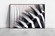 Load image into Gallery viewer, Zebra Striped Mane Abstract Animal Wall Art Print - Black White Framed Photography Artwork - Print Store