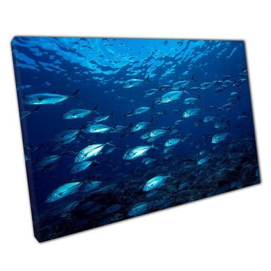 Bluefin Trevally School Swimming in Tubbataha Reef - Underwater Sea Life Canvas Wall Art Print - Print Store