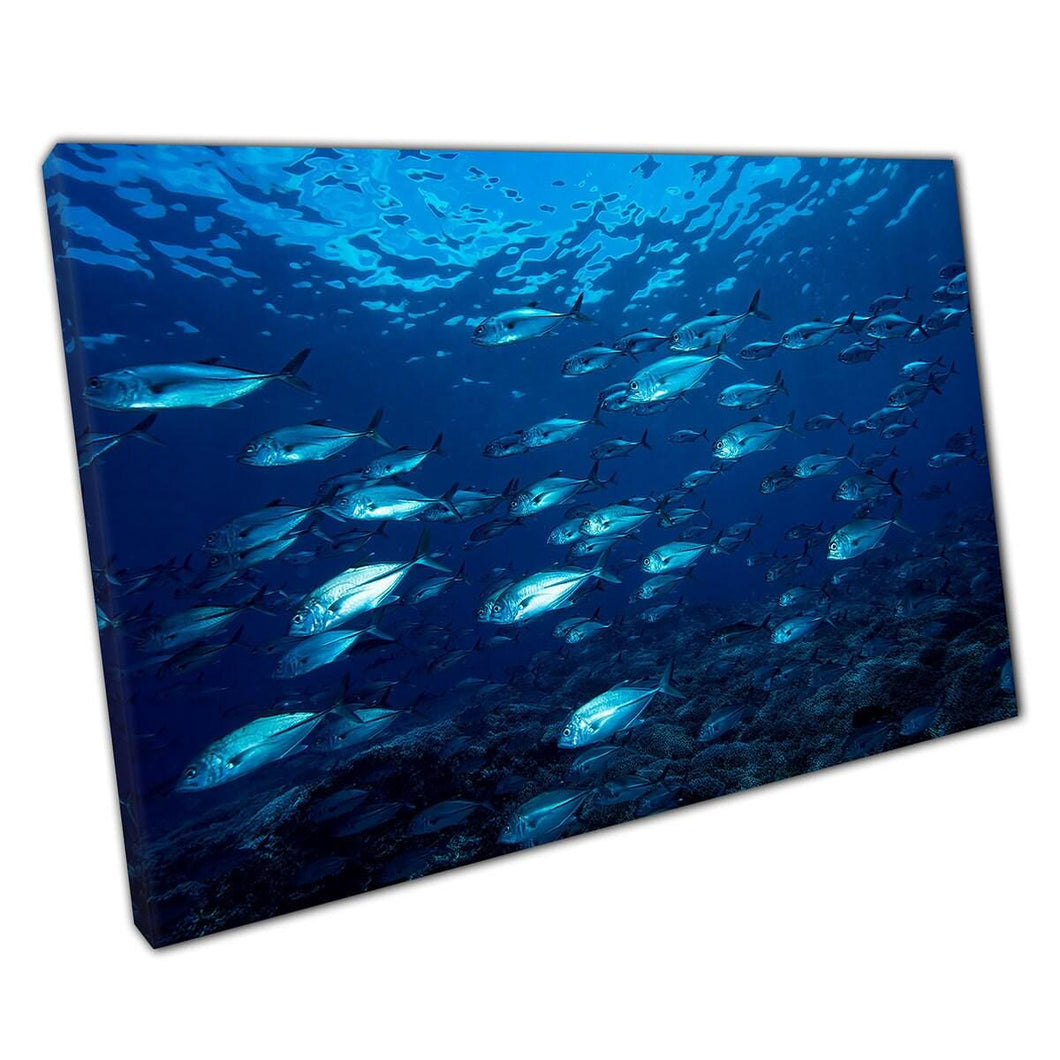 Bluefin Trevally School Swimming in Tubbataha Reef - Underwater Sea Life Canvas Wall Art Print - Print Store