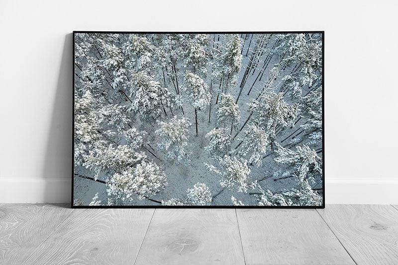 Winter Forest Wall Art Print - Aerial View of Frosted Pine  Birch Trees Framed Picture Decor - Print Store