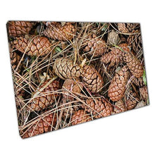 Load image into Gallery viewer, Autumnal Pine Cone Canvas: Rustic Fall Nature Wall Art for Home &amp; Office Decor, Ready to Hang - Print Store
