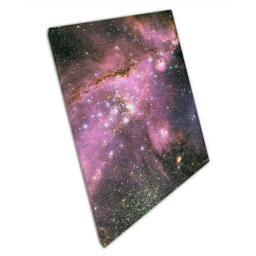 Celestial Canvas: Young Stars in Gas-Sculpted Space - Vibrant Wall Art for Home and Office Decor - Print Store