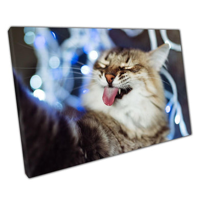 Adorable Feline Selfie Canvas: Humorous Kitten Wall Art for Home & Office Decor - Print Store