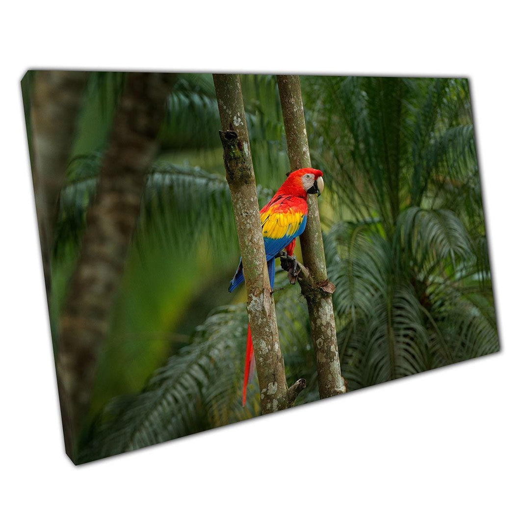 Vibrant Scarlet Macaw Photography: Tropical Rainforest Canvas Wall Art for Home and Office Decor - Print Store
