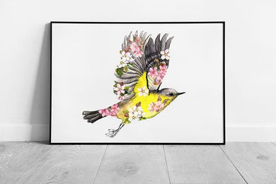 Yellow  Black Bird in Pink Cherry Blossoms Watercolour Wall Art Print Framed Decor - Print Store