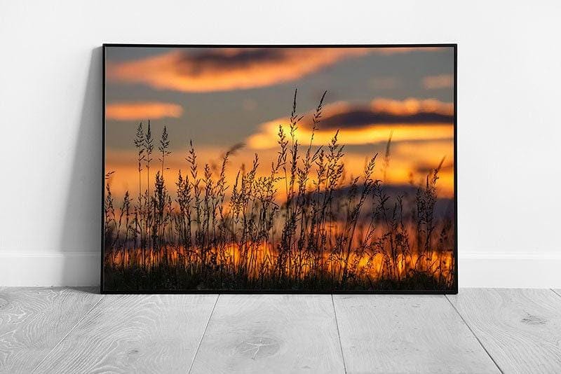Warm Sunset Meadow Wall Art Print  Framed Summer Landscape Decor - Print Store
