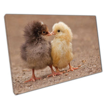 Load image into Gallery viewer, Adorable Baby Chicks Canvas Print: Kissing Yellow &amp; Brown Chickens Nature Wall Art for Home Office Decor - Print Store
