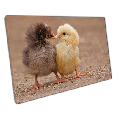 Adorable Baby Chicks Canvas Print: Kissing Yellow & Brown Chickens Nature Wall Art for Home Office Decor - Print Store