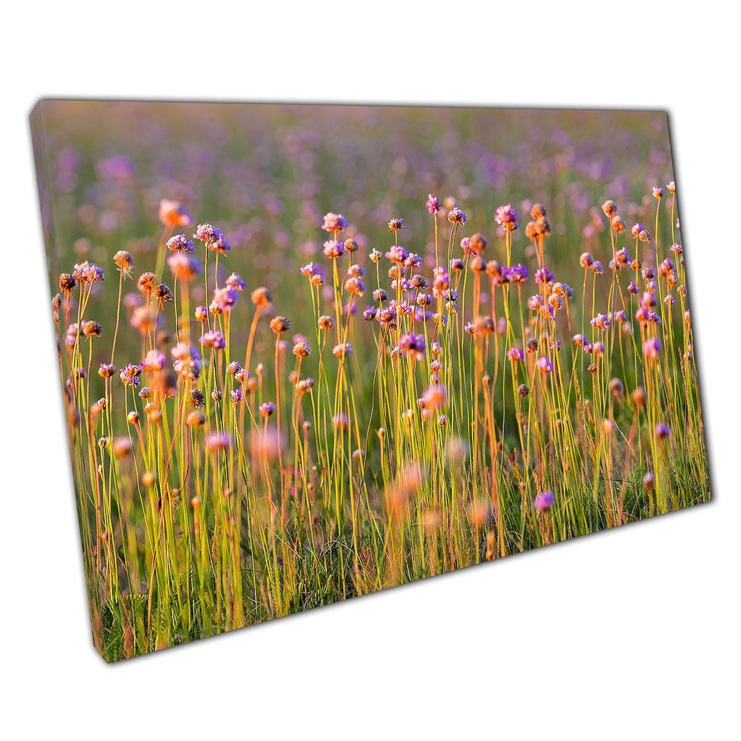 Allium Angulosum Purple Mouse Garlic Canvas Wall Art for Home Office Decor - Print Store