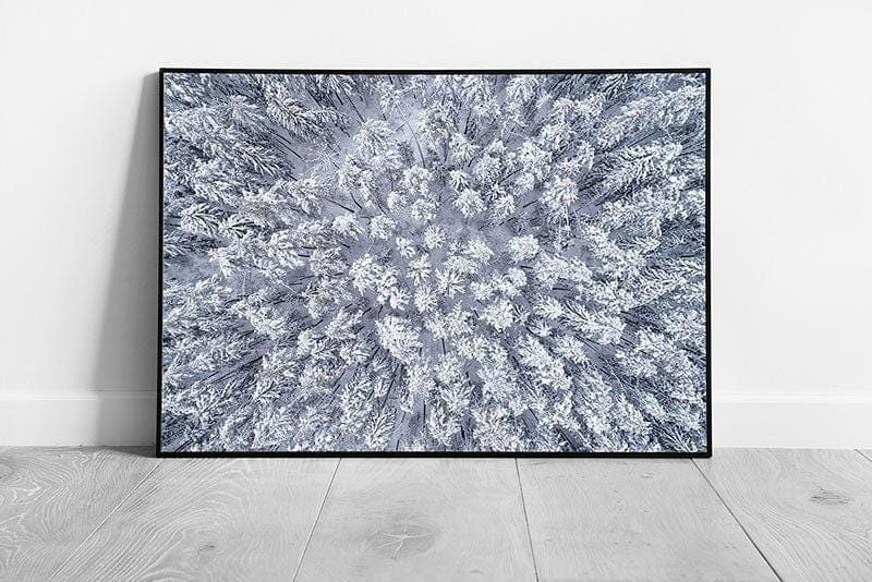 Winter Snow-Covered Fir Tree Forest Aerial Wall Art Print - Framed Seasonal Decor - Print Store