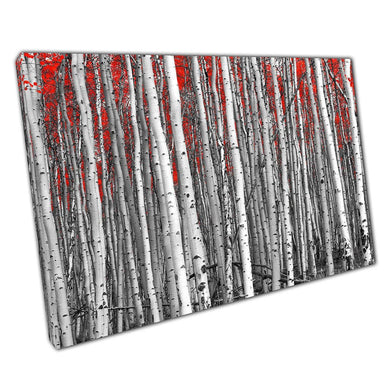 Birch Forest Canvas: Black & White Abstract with Red Leaves - Modern Wall Art for Home  Office - Print Store