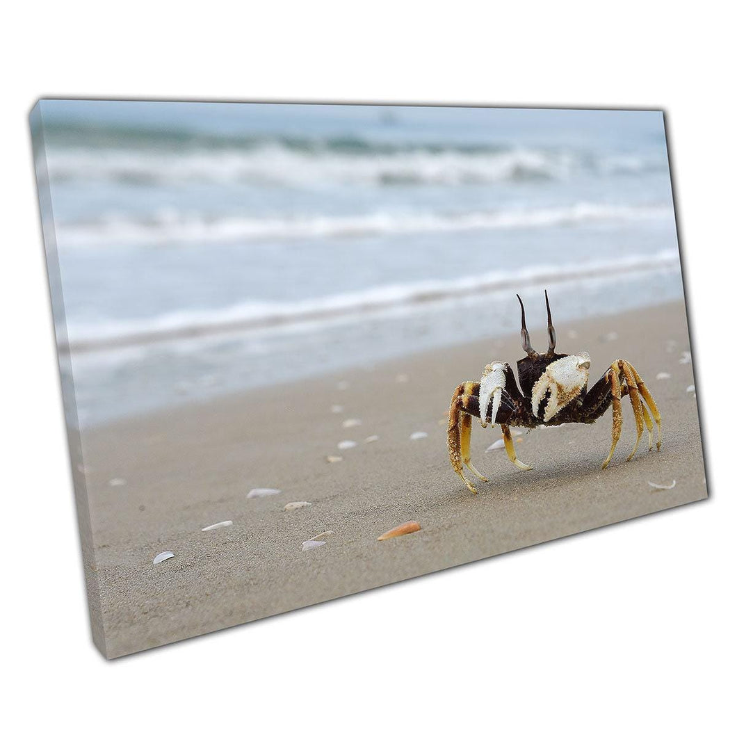 Brave Little Crab Canvas Print  Sea Life Wall Art  Coastal Decor for Home  Office - Print Store