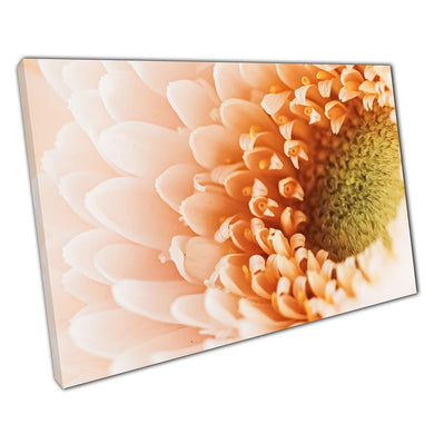 Blooming Daisy Flower Canvas Print Wall Art for Home Office Decor - Print Store