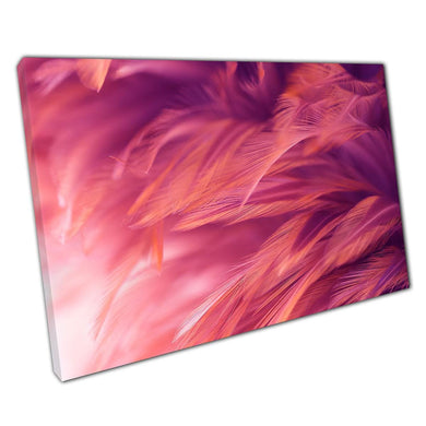 Abstract Coral Pink Feathers Canvas Art Print for Home  Office Decor - Print Store