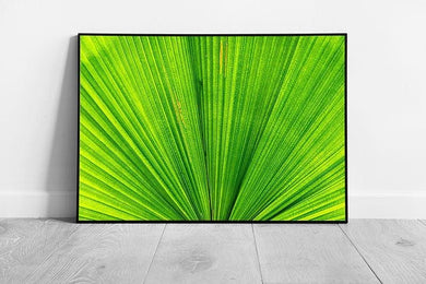 Vivid Green Palm Leaf Photography Wall Art Print  Extreme Abstract Close-Up Framed Picture - Print Store