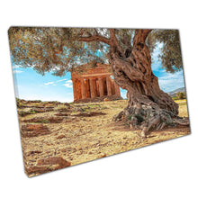 Load image into Gallery viewer, Ancient Olive Tree Canvas Print: Mediterranean Landscape with Temple Ruins - Historic Wall Art for Home &amp; Office - Print Store
