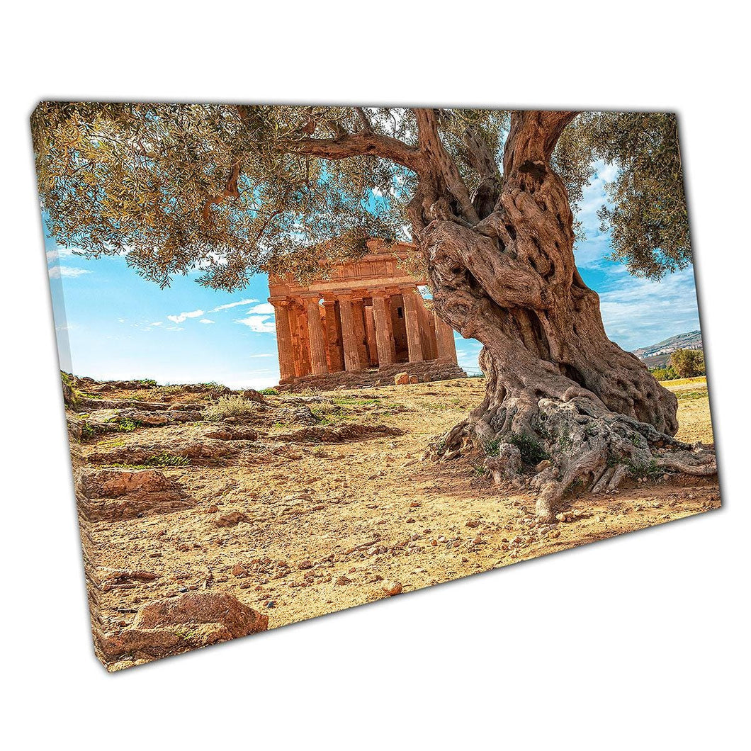 Ancient Olive Tree Canvas Print: Mediterranean Landscape with Temple Ruins - Historic Wall Art for Home & Office - Print Store