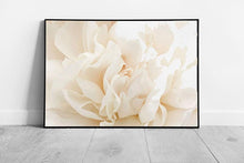 Load image into Gallery viewer, White Cream Peony Flower Petals Wall Art Print  Soft Close Floral Nature Photography Framed Decor - Print Store
