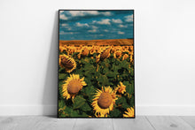 Load image into Gallery viewer, Vibrant Sunflower Field Wall Art: Framed Nature Print for Cheerful Home Decor - Print Store
