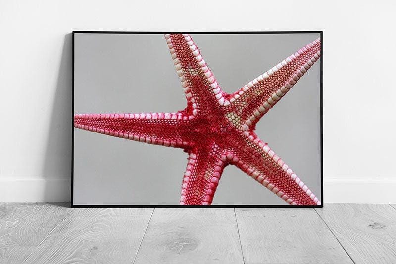Vibrant Red Starfish Wall Art: Framed Glass Print for Coastal Marine Life Decor & Underwater Ambiance - Print Store