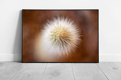 Abstract Aerial Photography of Cactus Spines  Nature Wall Art Print  Framed Succulent Decor - Print Store