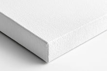 Load image into Gallery viewer, Bird Feather Photography Canvas Wall Art Print with Water Droplets for Home Office Decor - Print Store
