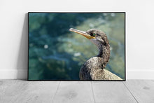 Load image into Gallery viewer, Wild Grey Duck Standing On The Seashore Against A Calm Blurred Natural Blue Seascape Wall Art Print on Paper Framed Picture print - Print Store
