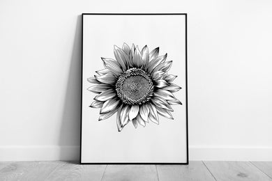 Vintage Black  White Sunflower Botanical Sketch Wall Art Print Framed Decor - Print Store