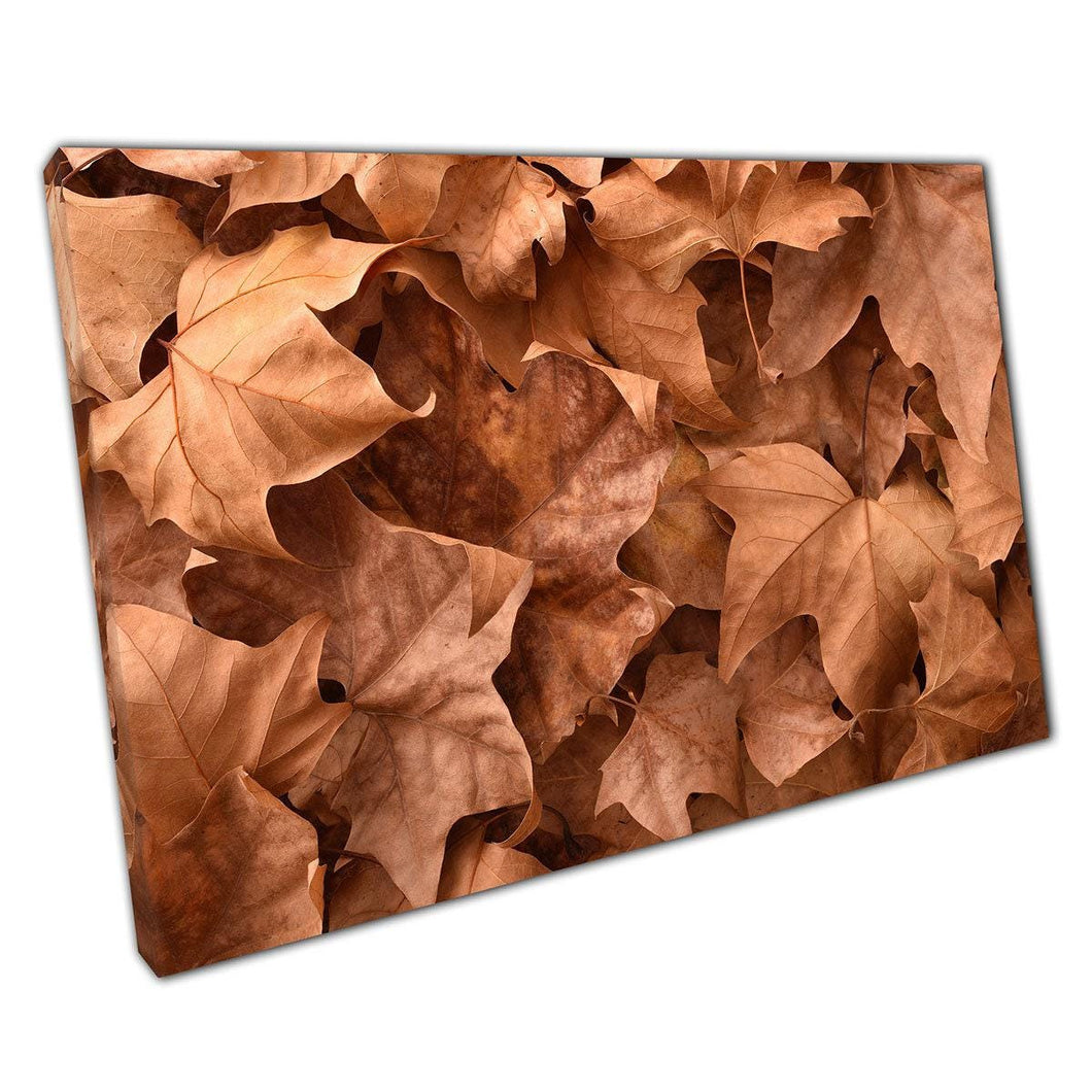 Autumnal Leaves Canvas Wall Art Print  Forest Floor Photography Decor for Home  Office - Print Store