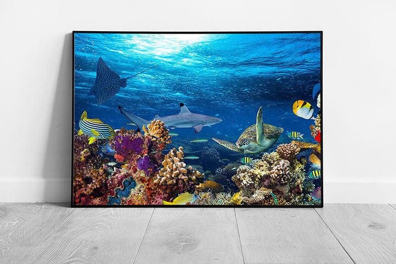 Coral Reef Sea Life Wall Art Print  Shark Stingray Tropical Fish  Sea Turtle  Framed Ocean Decor - Print Store