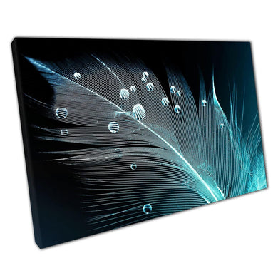 Bird Feather Photography Canvas Wall Art Print with Water Droplets for Home Office Decor - Print Store
