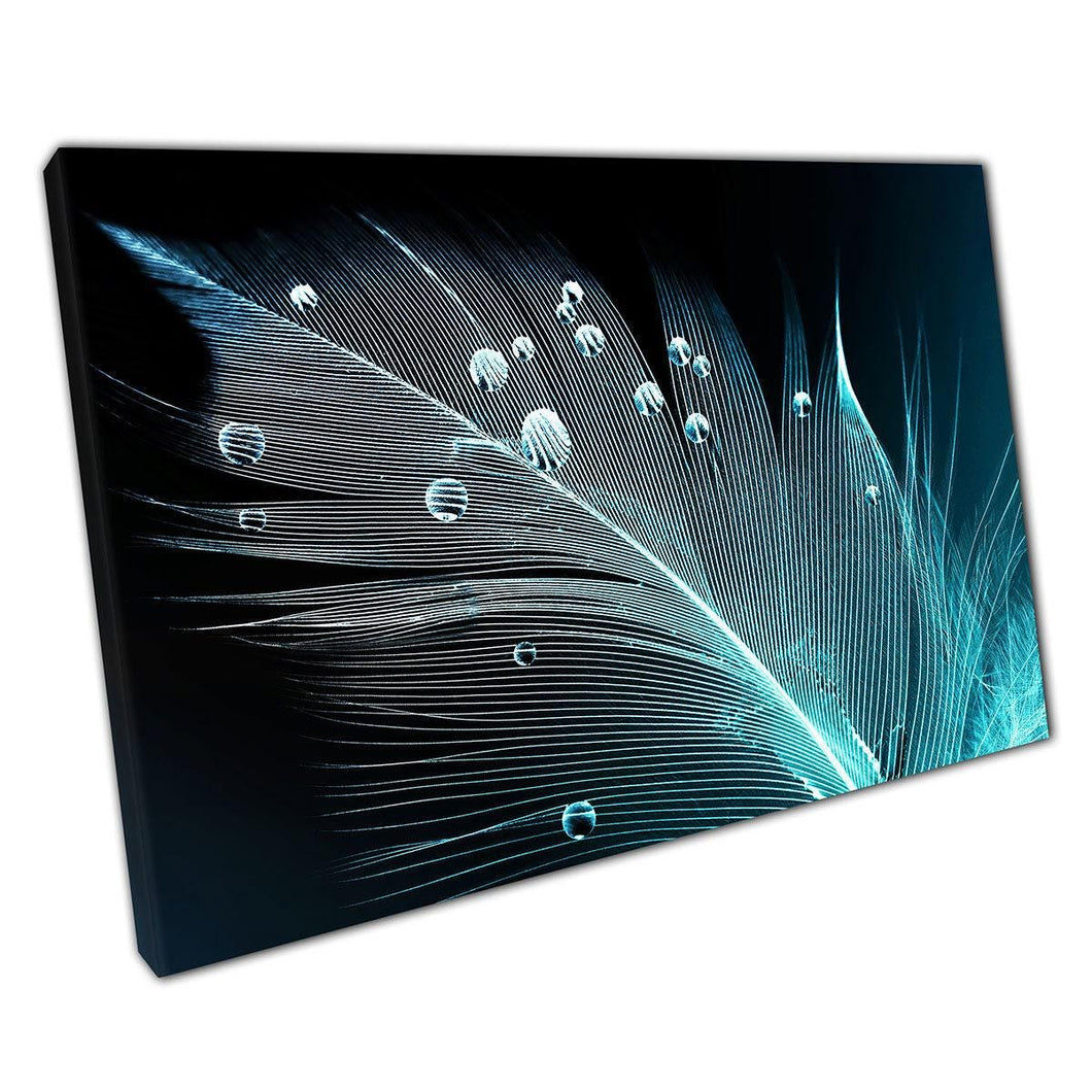 Bird Feather Photography Canvas Wall Art Print with Water Droplets for Home Office Decor - Print Store