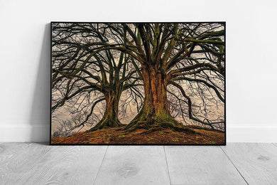 Vintage Forest Landscape Wall Art: Framed Nature Print, Ready to Hang Home Decor, Tree Photography - Print Store