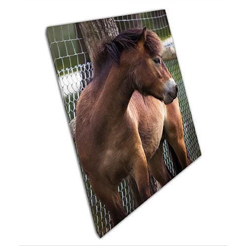 Canvas Print of Horse Enjoying the Outdoors  Ready to Hang Wall Art for Home  Office Decor - Print Store