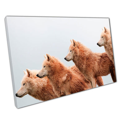 Arctic Wolf Canvas Print: Stunning Wildlife Photography Wall Art for Home & Office Decor - Print Store
