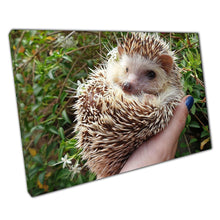 Load image into Gallery viewer, Adorable Pygmy Hedgehog Wall Art: Whimsical Wildlife Canvas Print for Home &amp; Office Decor - Print Store
